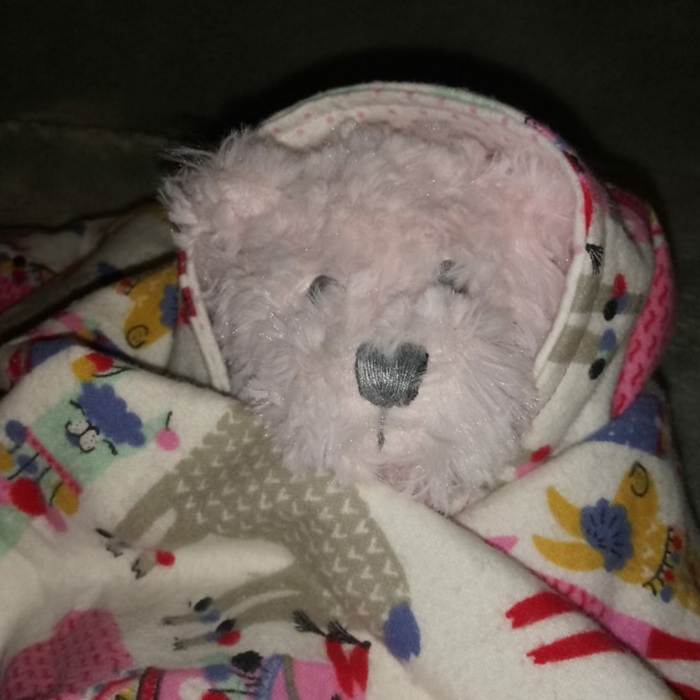 Homemade Llama Pink Baby Blanket